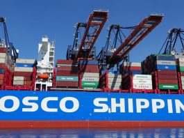 Các hãng tàu phản ứng kịch liệt với cáo buộc trục lợi từ phía chủ hàng