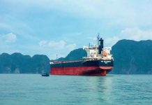 Đạt lợi nhuận khủng, đại gia thép Hòa Phát mua thêm tàu hàng rời