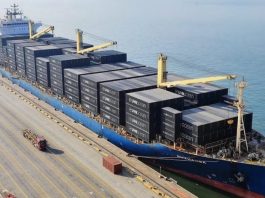 Một doanh nghiệp logistics phục hồi thương hiệu Ellerman để tạo ra hãng tàu container mới của Anh