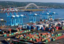 Năm 2022 khó đoán của ngành vận tải biển