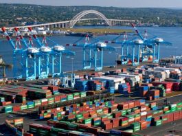 Năm 2022 khó đoán của ngành vận tải biển