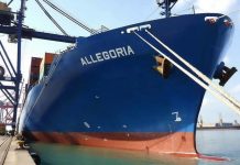 Hãng tàu Wan Hai tiếp tục đầu tư mạnh vào đội tàu container