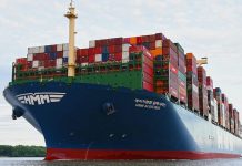 Lựa chọn tân CEO của HMM làm dấy lên tin đồn về thương vụ mua lại HMM