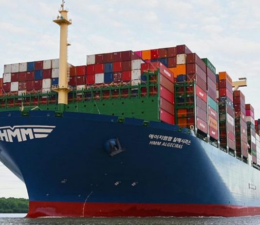 Lựa chọn tân CEO của HMM làm dấy lên tin đồn về thương vụ mua lại HMM