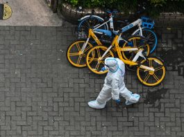 Nạn nhân bất ngờ của chính sách phong tỏa Thượng Hải: Các tuyến vận chuyển nội Á