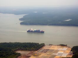 Giá cước vận tải biển giảm mạnh