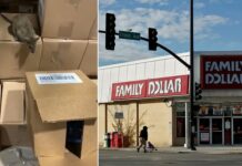 Một doanh nghiệp bị phạt 41,7 triệu USD vì có chuột trong kho