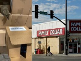 Một doanh nghiệp bị phạt 41,7 triệu USD vì có chuột trong kho